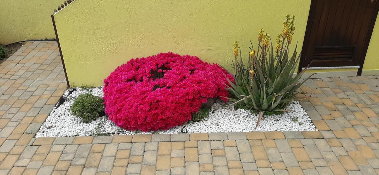 Nonna Defenza Apartment Teulada Exterior foto